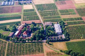Vue aérienne de Institut JKI de sélection de raisins, BFA-Geilweilerhof (Institut de recherche sur la vigne) à Siebeldingen dans le département Rhénanie-Palatinat, Allemagne