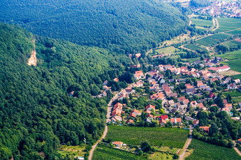 Vue aérienne de Ville viticole au bord du Haardt au sud à Frankweiler dans le département Rhénanie-Palatinat, Allemagne