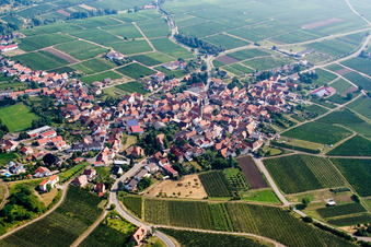 Vue aérienne de Village viticole entre les vignes à Frankweiler dans le département Rhénanie-Palatinat, Allemagne