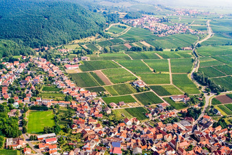 Vue aérienne de Bergbornstrasse à Frankweiler dans le département Rhénanie-Palatinat, Allemagne