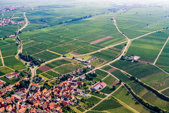 Vue aérienne de Dorfbornstr à Frankweiler dans le département Rhénanie-Palatinat, Allemagne