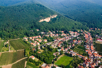 Vue aérienne de Village - vue entre la forêt du Palatinat et les vignobles à Frankweiler dans le département Rhénanie-Palatinat, Allemagne