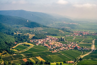Vue aérienne de Village viticole du sud à Frankweiler dans le département Rhénanie-Palatinat, Allemagne