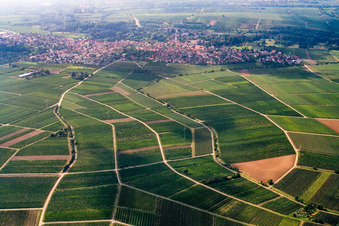Vue aérienne de Lieu du nord à le quartier Godramstein in Landau in der Pfalz dans le département Rhénanie-Palatinat, Allemagne