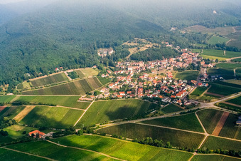 Vue aérienne de Village viticole du sud à Gleisweiler dans le département Rhénanie-Palatinat, Allemagne