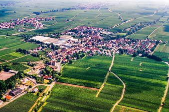 Vue aérienne de Ville viticole du sud-ouest à Böchingen dans le département Rhénanie-Palatinat, Allemagne