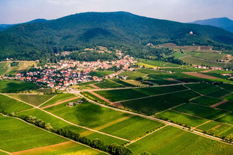 Vue aérienne de Village viticole du sud-est à Gleisweiler dans le département Rhénanie-Palatinat, Allemagne