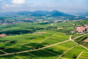 Vue aérienne de Bordure Haardt à Böchingen dans le département Rhénanie-Palatinat, Allemagne