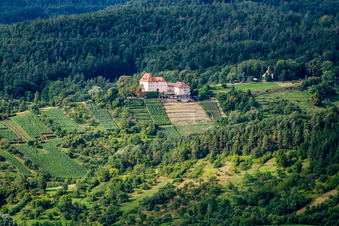 Vue aérienne de Château de Roseck à le quartier Unterjesingen in Tübingen dans le département Bade-Wurtemberg, Allemagne