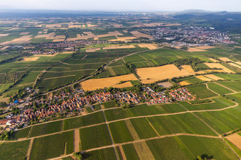 Vue oblique de Niederhorbach dans le département Rhénanie-Palatinat, Allemagne