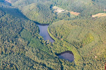 Vue aérienne de Seehofweiher à Erlenbach bei Dahn dans le département Rhénanie-Palatinat, Allemagne