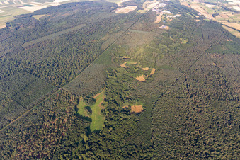 Vue aérienne de Bienwald, Lautertal à Schweighofen dans le département Rhénanie-Palatinat, Allemagne