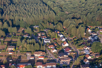 Vue aérienne de À Sägmühlweiher et Bitscher Straße depuis l'est à Ludwigswinkel dans le département Rhénanie-Palatinat, Allemagne