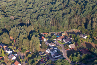 Vue aérienne de Chemin rocailleux à Ludwigswinkel dans le département Rhénanie-Palatinat, Allemagne