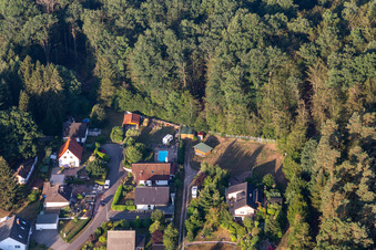 Photographie aérienne de Chemin rocailleux à Ludwigswinkel dans le département Rhénanie-Palatinat, Allemagne