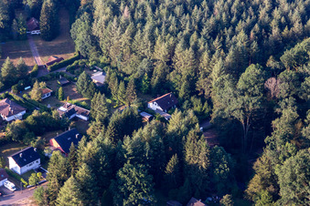 Vue aérienne de Au Sägmühlweiher depuis le nord à Ludwigswinkel dans le département Rhénanie-Palatinat, Allemagne