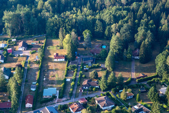 Vue oblique de Au Sägmühlweiher depuis le nord à Ludwigswinkel dans le département Rhénanie-Palatinat, Allemagne
