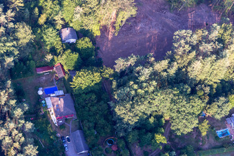 Au Saufelsen à Ludwigswinkel dans le département Rhénanie-Palatinat, Allemagne vue d'en haut