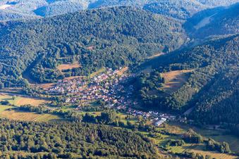 Vue aérienne de Niederschlettenbach dans le département Rhénanie-Palatinat, Allemagne