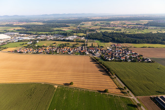 Vue aérienne de Quartier Minderslachen in Kandel dans le département Rhénanie-Palatinat, Allemagne
