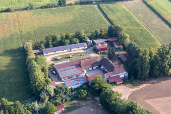 Enregistrement par drone de Kandel dans le département Rhénanie-Palatinat, Allemagne