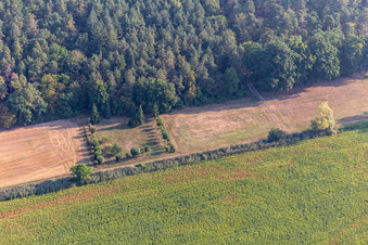 Vue aérienne de Ancien aérodrome modèle Hatzenbühl à Kandel dans le département Rhénanie-Palatinat, Allemagne