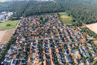 Vue aérienne de Aux carrières d'argile à Rheinzabern dans le département Rhénanie-Palatinat, Allemagne