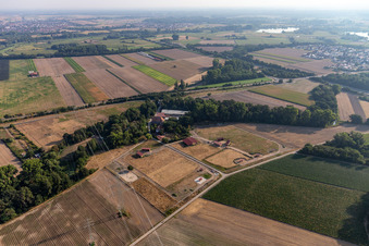 Vue aérienne de Ferme équestre Wanzheimer Mühle à Rheinzabern dans le département Rhénanie-Palatinat, Allemagne