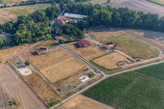 Vue aérienne de Ferme équestre Wanzheimer Mühle à Rheinzabern dans le département Rhénanie-Palatinat, Allemagne