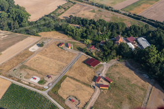 Photographie aérienne de Ferme équestre Wanzheimer Mühle à Rheinzabern dans le département Rhénanie-Palatinat, Allemagne