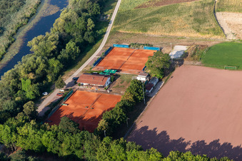Vue aérienne de Tennis Club eV à Neupotz dans le département Rhénanie-Palatinat, Allemagne