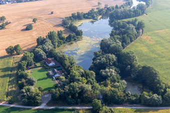 Vue aérienne de Association pour les sports canins eV à Fischmal à Leimersheim dans le département Rhénanie-Palatinat, Allemagne