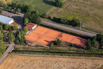 Vue aérienne de Tennis Club eV à Leimersheim dans le département Rhénanie-Palatinat, Allemagne