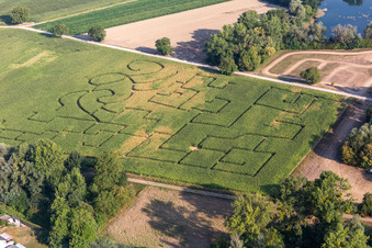 Vue aérienne de Labyrinthe de maïs à Leimersheim dans le département Rhénanie-Palatinat, Allemagne