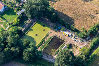 Vue aérienne de Étangs à poissons à Rheinzabern dans le département Rhénanie-Palatinat, Allemagne