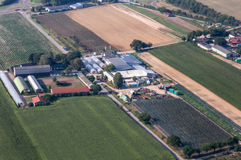 Vue aérienne de Marché fermier de Zapf à Hatzenbühl dans le département Rhénanie-Palatinat, Allemagne