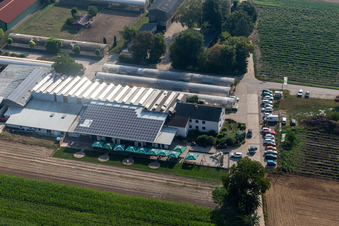 Image drone de Kandel dans le département Rhénanie-Palatinat, Allemagne