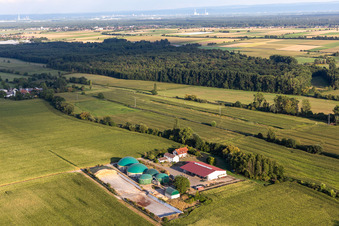 Vue aérienne de Wagnerhof à Steinweiler dans le département Rhénanie-Palatinat, Allemagne