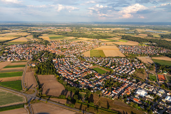 Vue aérienne de Vue du village en bordure des champs agricoles et des terres agricoles à Rheinzabern dans le département Rhénanie-Palatinat, Allemagne