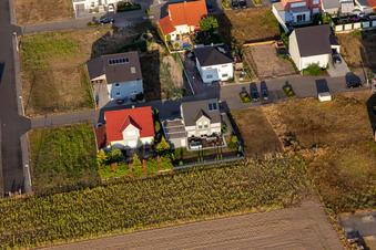 Vue oblique de Quartier Hardtwald in Neupotz dans le département Rhénanie-Palatinat, Allemagne