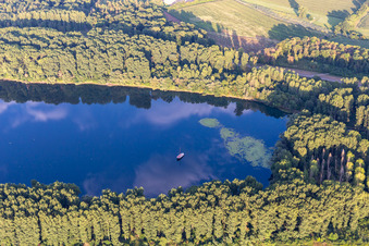 Vue aérienne de Sur l'île de Rott am Rhein à le quartier Hochstetten in Linkenheim-Hochstetten dans le département Bade-Wurtemberg, Allemagne