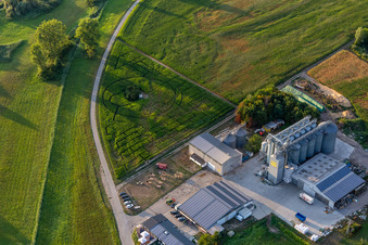 Vue aérienne de Labyrinthe - Labyrinthe de maïs au Hofcafee Onkel Oskar de Bolz Landhandel GmbH sur un champ à le quartier Rußheim in Dettenheim dans le département Bade-Wurtemberg, Allemagne
