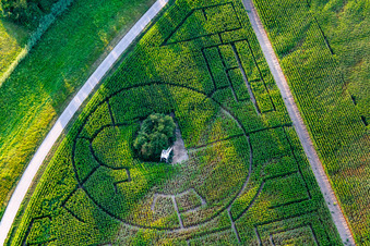 Vue aérienne de Labyrinthe - Labyrinthe de maïs au Hofcafee Onkel Oskar de Bolz Landhandel GmbH sur un champ à le quartier Rußheim in Dettenheim dans le département Bade-Wurtemberg, Allemagne