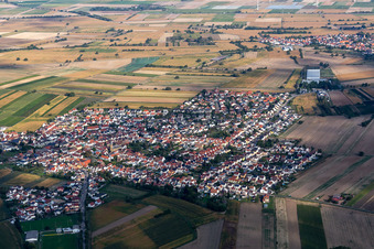 Quartier Mechtersheim in Römerberg dans le département Rhénanie-Palatinat, Allemagne vue du ciel