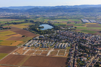 Vue d'oiseau de Nouvelle zone de développement "Mitten im Feld" et Odenwaldstr à Heddesheim dans le département Bade-Wurtemberg, Allemagne