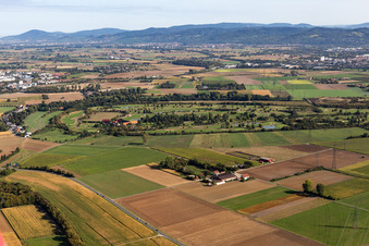 Vue aérienne de Terrain du golf Heddesheim Gut Neuzenhof à Viernheim à Heddesheim dans le département Bade-Wurtemberg, Allemagne