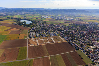 Nouvelle zone de développement "Mitten im Feld" et Odenwaldstr à Heddesheim dans le département Bade-Wurtemberg, Allemagne vue du ciel