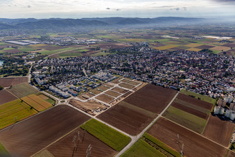 Vue aérienne de Devant les pentes montagneuses de l'Odenwald dans le paysage de vallée de la plaine du Rhin à Heddesheim dans le département Bade-Wurtemberg, Allemagne