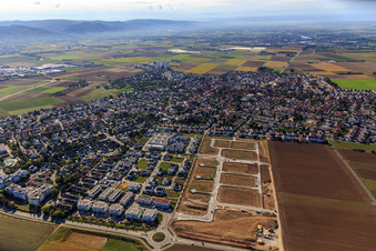Image drone de Nouvelle zone de développement "Mitten im Feld" et Odenwaldstr à Heddesheim dans le département Bade-Wurtemberg, Allemagne
