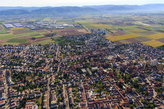 Vue aérienne de Vue de la ville depuis l'ouest à Heddesheim dans le département Bade-Wurtemberg, Allemagne